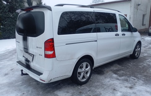 WhatsApp Image 2026-01-14 at 19.09.52b