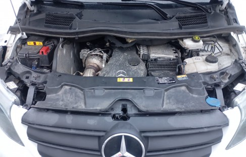 WhatsApp Image 2026-01-14 at 19.09.53