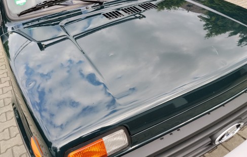 Lada Taiga 10