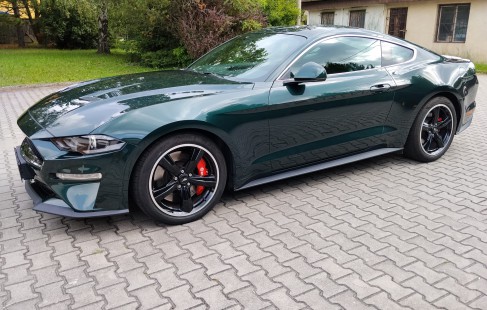 Ford Mustang 02