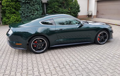 Ford Mustang 06