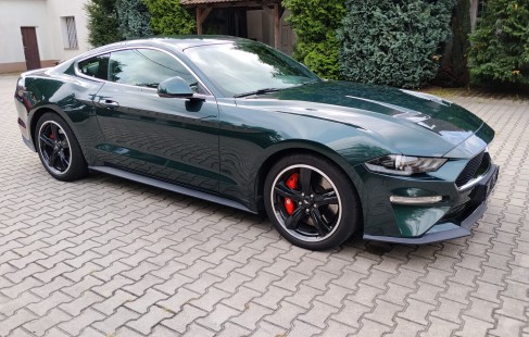 Ford Mustang 07