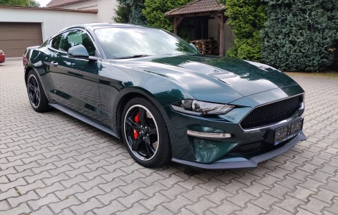 Ford Mustang 08