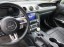 Ford Mustang 13