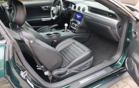 Ford Mustang 14