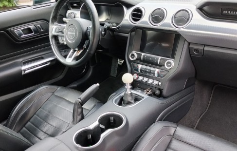 Ford Mustang 15