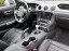Ford Mustang 15
